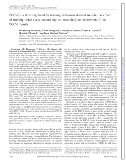 PGC-1 is downregulated by training in human skeletal muscle: no