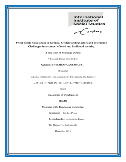 Sweet potato value chain in Rwanda: Understanding actors and