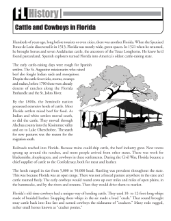 Cattle and Cowboys in Florida