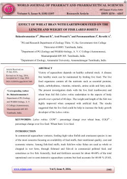 effect of wheat bran with earthworm feed on the length and