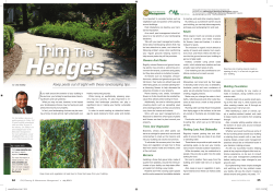 Hedges - Orkin