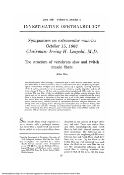 The Structure of Vertebrate Slow and Twitch Muscle Fibers