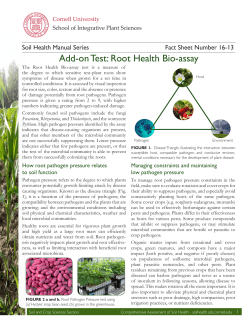 Add-on Test: Root Health Bio-assay