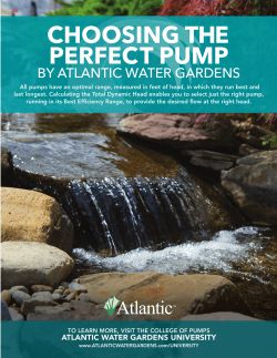 Choosing the Perfect Pump