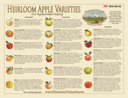 Heirloom Apple Varieties