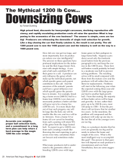 The Mythical 1200 lb Cow Downsizing Cows