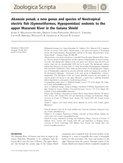 Akawaio penak, a new genus and species of Neotropical electric