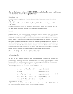 An optimizing reduced PLSMFE formulation for non