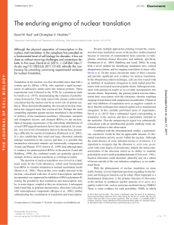 The enduring enigma of nuclear translation