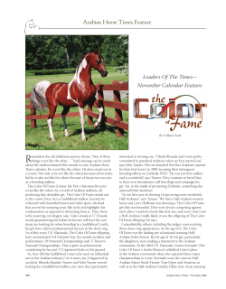 to read - Stallions Zimbolic PGN+