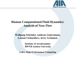 Human Computational Fluid Dynamics