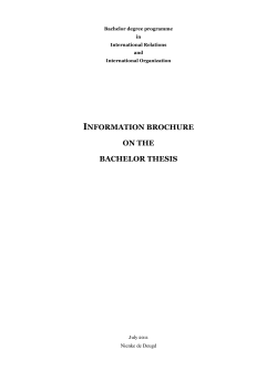 information brochure on the bachelor thesis