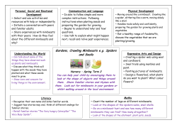 Gardens, Crawling Minibeasts e.g. Spiders and Snails