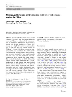 Storage, patterns and environmental controls of soil organic carbon