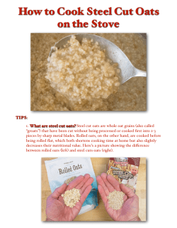 How to Cook Steel Cut Oats on the Stove UMass PDF 7-30-16