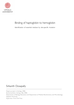 Binding of haptoglobin to hemoglobin Srikanth Dosapally