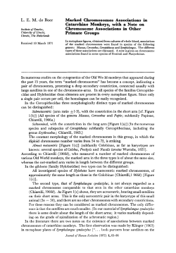 L. E. M. de Boer Marked Chromosomes Associations in Catarrhine