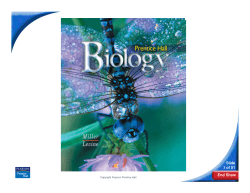 8-3 The Reactions of Photosynthesis
