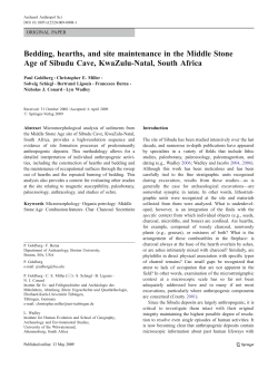 Bedding, hearths, and site maintenance in the Middle Stone Age of