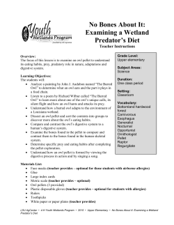 No Bones About It: Examining a Wetland Predator`s