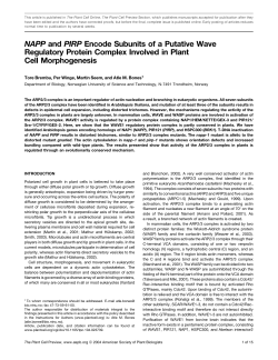 NAPP and PIRP Encode Subunits of a Putative Wave Regulatory