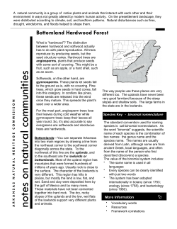 Bottomland - Notes on Natural Communities