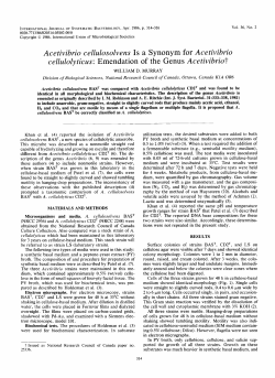 Acetivibrio cellulosolvens Is a Synonym for Acetivibrio cellulolyticus