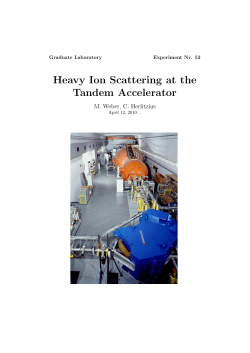 Heavy Ion Scattering at the Tandem Accelerator - TUM