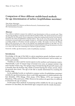 Comparison of three different otolith-based methods for