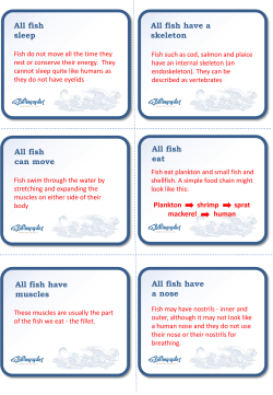 All fish sleep All fish have a skeleton All fish can move All fish have