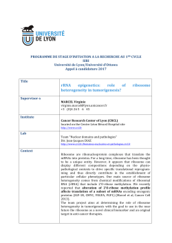 rRNA epigenetics: role of ribosome heteroginity ion tumorigenesis?