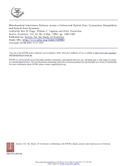 Mitochondrial Inheritance Patterns Across a Cottonwood Hybrid Zone