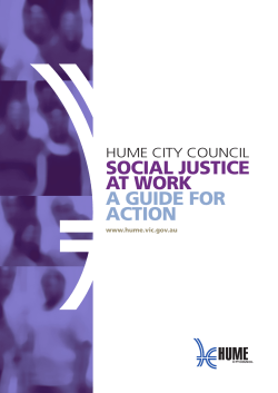 social justice at work a guide for action