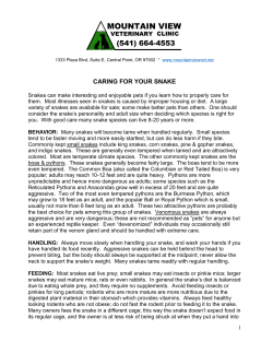 caring for your snake - Mountain View Vet Hospital
