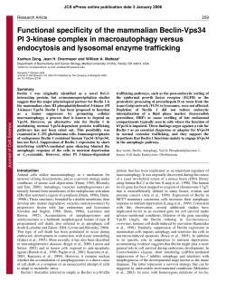 Functional specificity of the mammalian Beclin-Vps34 PI 3