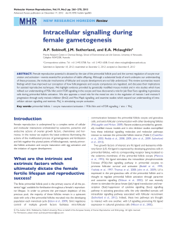 Intracellular signalling during female gametogenesis