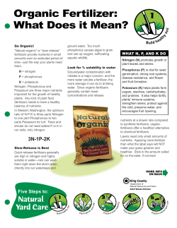 Organic Fertilizer: What Does it Mean?