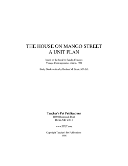 the house on mango street a unit plan