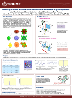 Investigation of H atom and free radical behavior in gas