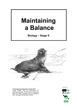 Maintaining a Balance