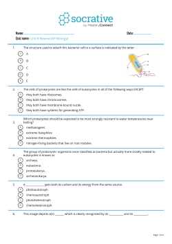 questions from our in-class review game