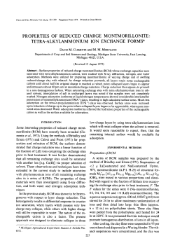 properties of reduced charge montmorillonite: tetra