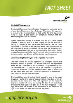 Hydatid Tapeworm - Greyhound Adoption Program