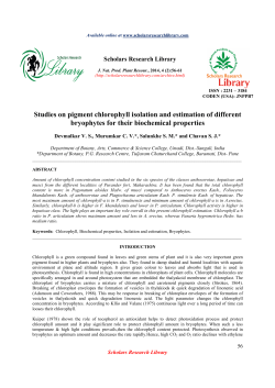 Studies on pigment chlorophyll isolation and estimation of different