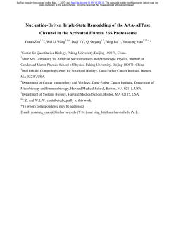 Nucleotide-Driven Triple-State Remodeling Of The AAA