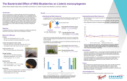 Initial Bacterial Effect Observed Introduction Objective Materials