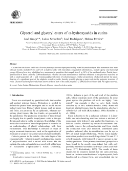 Glycerol and glyceryl esters of o
