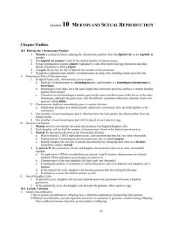 CHAPTER 10 MEIOSIS AND SEXUAL REPRODUCTION Chapter