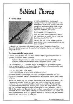 Biblical Thorns