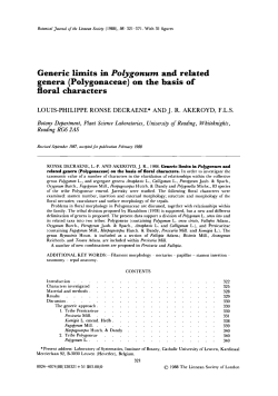 Generic limits in Polygonum and related genera